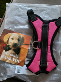 gumtree dog accessories